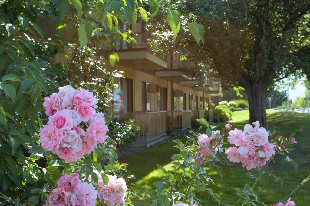 Dilworth Inn Келоуна Экстерьер фото